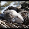20150406_034